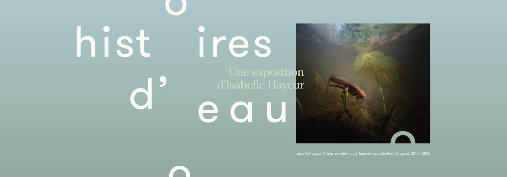 Histoires d'eau, une exposition d'Isabelle Hayeur au Musée du Bas-Saint-Laurent